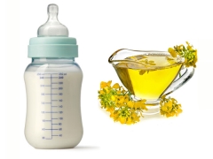 Is rapeseed oil harmful in baby food?