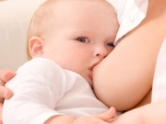 The composition, fat content and temperature of breast milk