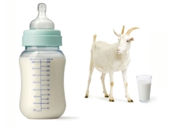 Should I choose baby formula on goat milk?