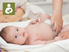 Green stools in infants breastfeeding