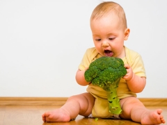 Cibo per broccoli: cosa considerare e come cucinare?