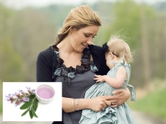 Sage to stop lactation