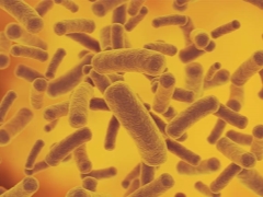 Bacteriile din urină (bacteriurie) la un copil