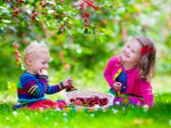 ¿A qué edad le puedes dar una cereza dulce al niño?