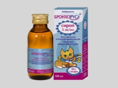 Bronhorus sirop pentru copii: instrucțiuni de utilizare