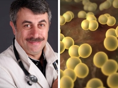 Doctor Komarovsky about Staphylococcus aureus