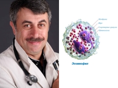 Si Dr. Komarovsky tungkol sa mga eosinophil