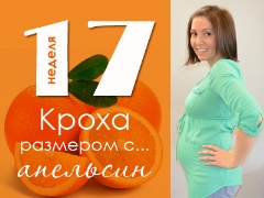 17 week of pregnancy: what happens to the fetus and the expectant mother?