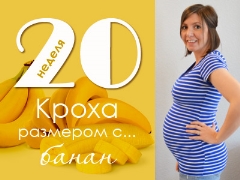 20 week of pregnancy: what happens to the fetus and the expectant mother?