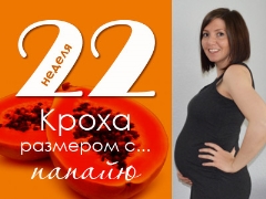 22 week of pregnancy: what happens to the fetus and the expectant mother?