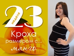 23 week of pregnancy: what happens to the fetus and the expectant mother?