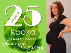 25 week of pregnancy: what happens to the fetus and the expectant mother?