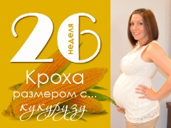 26 week of pregnancy: what happens to the fetus and the expectant mother?