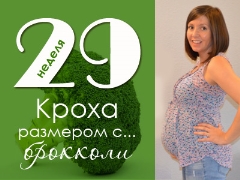 29 week of pregnancy: what happens to the fetus and the expectant mother?