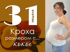 31 week of pregnancy: what happens to the fetus and the expectant mother?