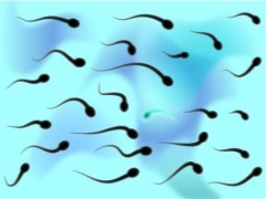 What is oligozoospermia and how does it affect conception?