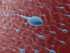 What is pyospermia and how does it affect conception?