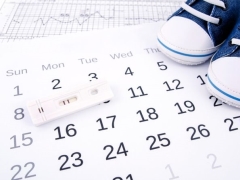 Ovulation calendar para sa paglilihi: calculator ng mga pinaka-angkop na araw