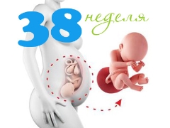 Fetus la 38 de săptămâni de gestație: norme și caracteristici