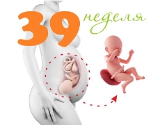 Fetus at the 39th week of pregnancy: norms and characteristics