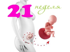 Desarrollo fetal en la semana 21 de gestación.