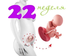 Desarrollo fetal a las 22 semanas de gestación.