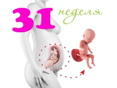 Desarrollo fetal en la semana 31 de gestación.