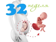 Desarrollo fetal a las 32 semanas de gestación.