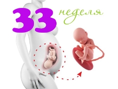 Desarrollo fetal a las 33 semanas de gestación.