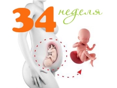 Fetal development at 34 weeks gestation