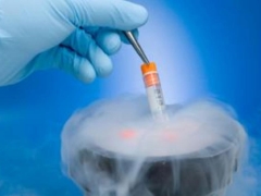 What is embryo cryopreservation and why is it needed?