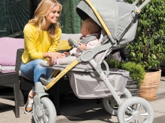 Baby strollers-books: ranking of the best folding models