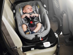 Features of the choice of carrying for newborns in the car