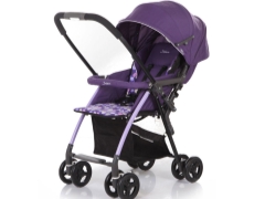 Variety of pushchair strollers