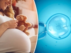 How much does IVF cost in Russia and what does the cost of the procedure depend on?