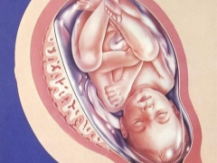 Spessore della placenta per settimana di gravidanza