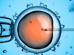 Alle statistieken over IVF: van de kans op zwangerschap van de eerste keer tot het percentage complicaties