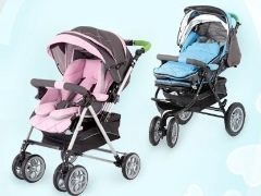 Stroller Jetem: soorten en regels naar keuze