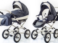 Esperanza strollers: advantages and subtleties of choice