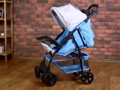 Everflo strollers: a review of pleasure models from a popular brand