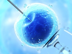 IVF short protocol by day: scheme and description