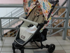 Happy Baby strollers: opis i kryteria wyboru, zalety i wady