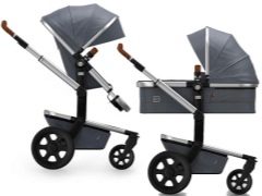 Characteristics of popular models of Joolz strollers