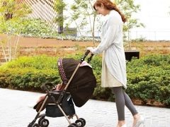 Aprica strollers: advantages and disadvantages, an overview of popular models