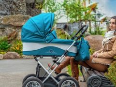 Lonex strollers: model features and tips for choosing