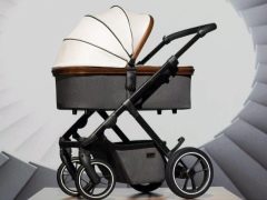 Moon strollers: vergelijk modellen en kies de beste