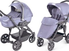 Neonato strollers: a variety of models and features of choice