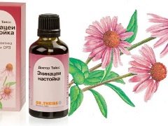 Echinacea tincture for children: instructions for use