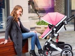 Features of Oley strollers