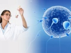 Features of temperature after embryo transfer during IVF